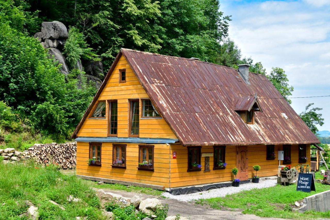 Wilcza Gajowka Villa Sosnowka  Exterior photo